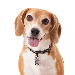 Meet your Posher, Becky